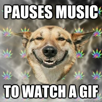 Pauses music To watch a gif  Stoner Dog