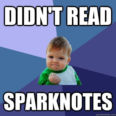 Didn't READ SPARKNOTES  Success Kid