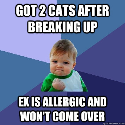 Got 2 cats after breaking up Ex is allergic and won't come over  Success Kid