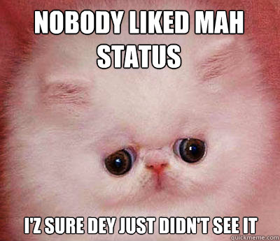 Nobody liked mah status I'z sure dey just didn't see it  