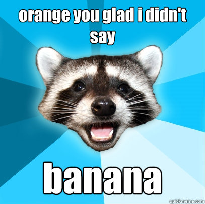 orange you glad i didn't say banana  Lame Pun Coon