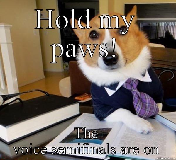 HOLD MY PAWS! THE VOICE SEMIFINALS ARE ON Lawyer Dog