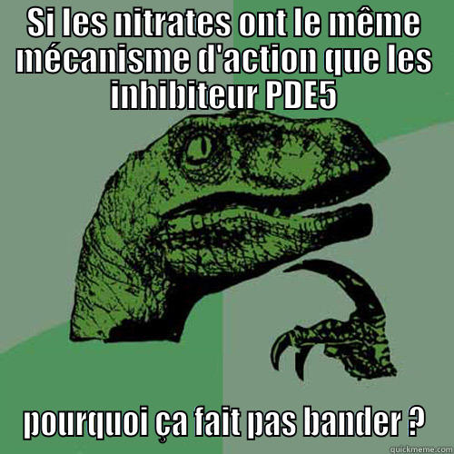 Problème de nitrates - SI LES NITRATES ONT LE MÊME MÉCANISME D'ACTION QUE LES INHIBITEUR PDE5 POURQUOI ÇA FAIT PAS BANDER ? Philosoraptor