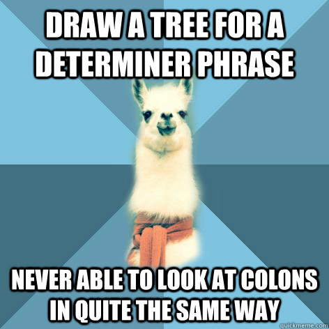 draw a tree for a determiner phrase never able to look at colons in quite the same way  Linguist Llama