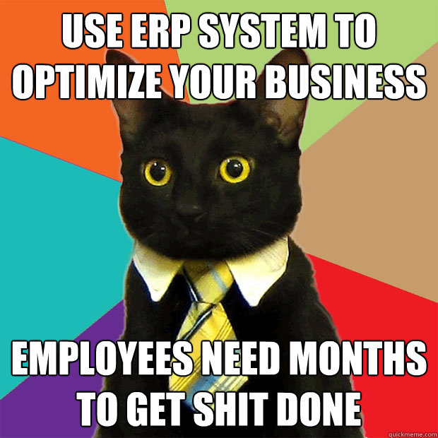 use ERP system to optimize your business employees need months to get shit done - use ERP system to optimize your business employees need months to get shit done  Business Cat