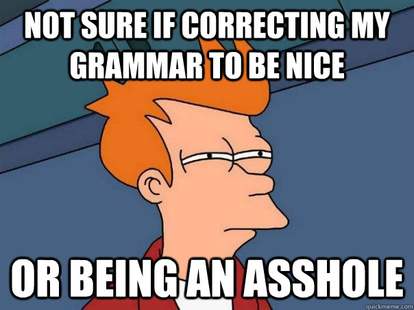 not sure if correcting my grammar to be nice or being an asshole - not sure if correcting my grammar to be nice or being an asshole  Futurama Fry