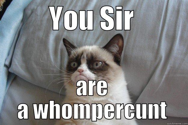 YOU SIR ARE A WHOMPERCUNT Grumpy Cat