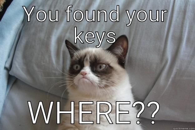 YOU FOUND YOUR KEYS WHERE?? Grumpy Cat