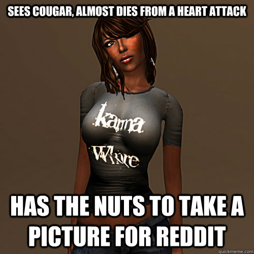 Sees cougar, almost dies from a heart attack has the nuts to take a picture for reddit   Karma Whore