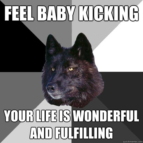 feel baby kicking your life is wonderful and fulfilling  Sanity Wolf