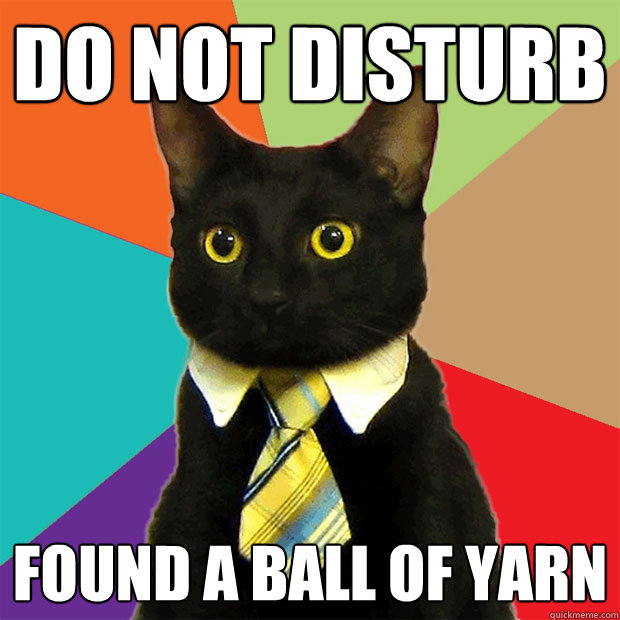 do not disturb found a ball of yarn  Business Cat