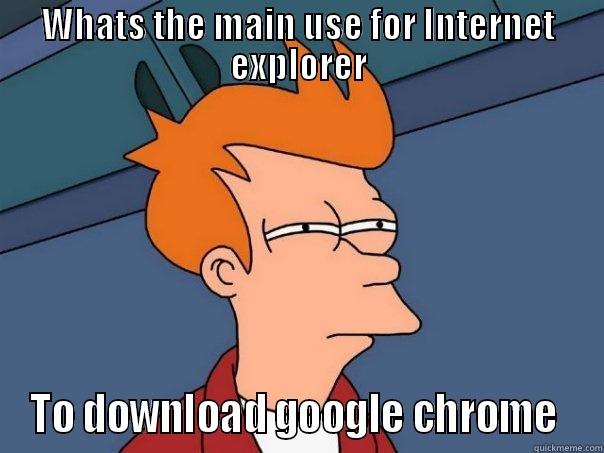 WHATS THE MAIN USE FOR INTERNET EXPLORER TO DOWNLOAD GOOGLE CHROME  Futurama Fry