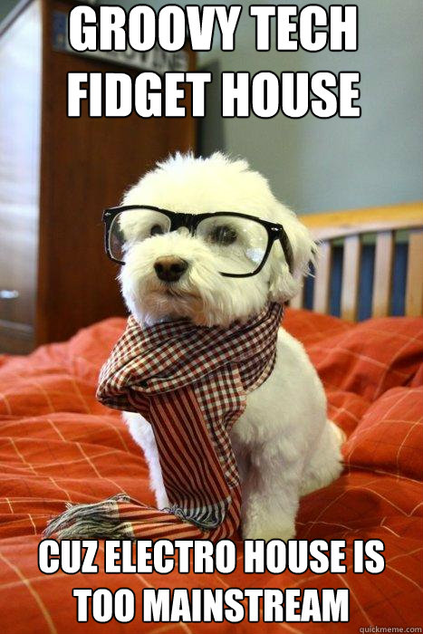 groovy tech fidget house  cuz electro house is too mainstream  Hipster Dog