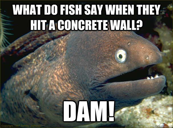 what-do-fish-say-when-they-hit-a-concrete-wall-dam-bad-joke-eel