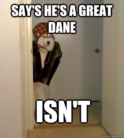 SAY'S HE'S A GREAT DANE ISN'T  Scumbag dog