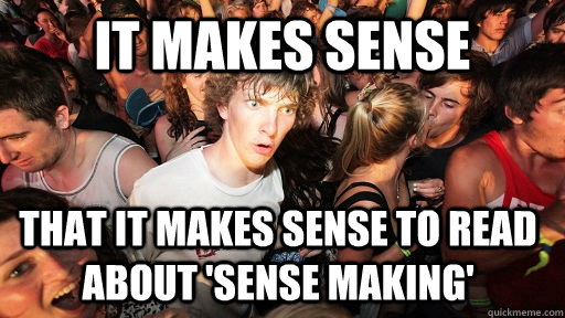 It makes sense that it makes sense to read about 'sense making' - It makes sense that it makes sense to read about 'sense making'  Sudden Clarity Clarence