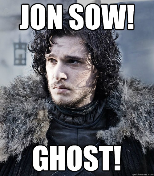 Jon SOW! GHOST!  Jon Snow