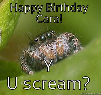 HAPPY BIRTHDAY CARA! Y U SCREAM? Misunderstood Spider