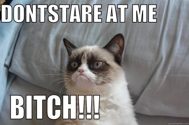 DONTSTARE AT ME         BITCH!!!                Grumpy Cat