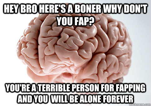 Hey bro here's a boner why don't you fap? you're a terrible person for fapping and you  will be alone forever  Scumbag Brain