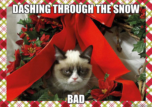 Dashing through the snow making spirits bad  A Grumpy Cat Christmas