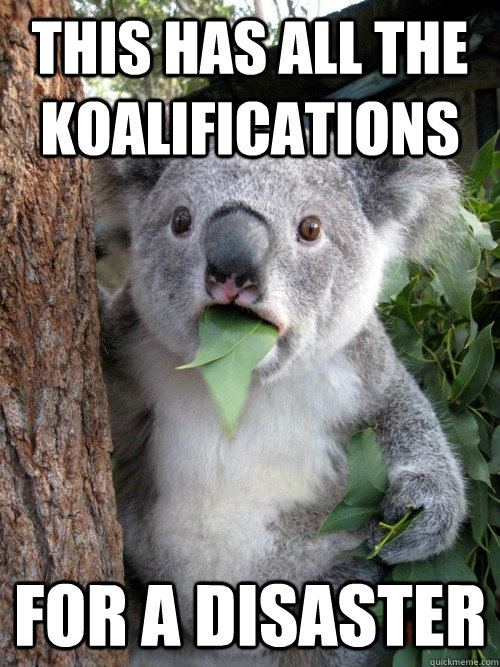 this has all the koalifications for a disaster  Surprised Koala