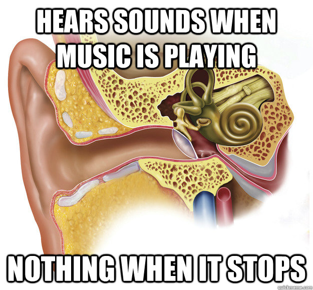 Hears sounds when music is playing Nothing when it stops  