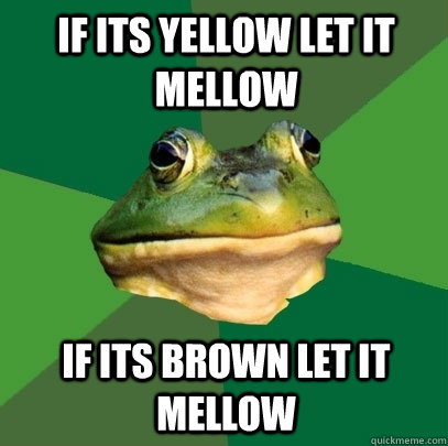 if its yellow let it mellow if its brown let it mellow  Foul Bachelor Frog