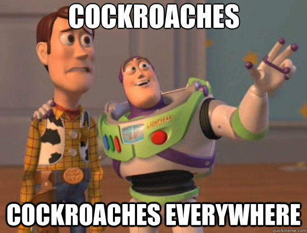 Cockroaches Cockroaches everywhere - Cockroaches Cockroaches everywhere  Toy Story