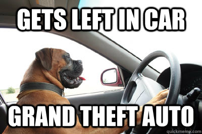 Gets left in car Grand theft auto - Gets left in car Grand theft auto  GTA DOG