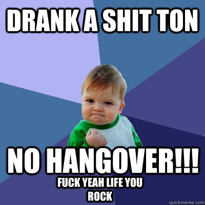 Drank a shit ton NO HANGOVER!!! fuck yeah life you rock  Success Kid