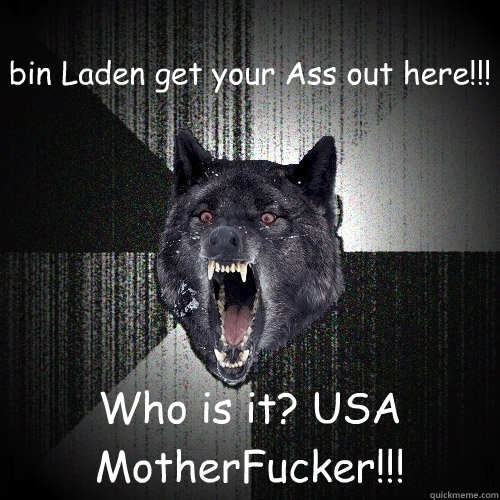 bin Laden get your Ass out here!!! Who is it? USA MotherFucker!!!  Insanity Wolf