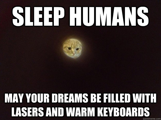 sleep humans may your dreams be filled with lasers and warm keyboards  Creepy Moon Cat