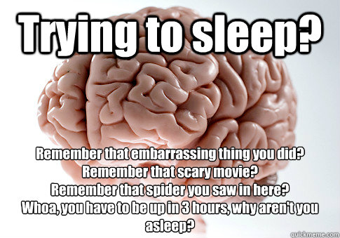 Trying to sleep? Remember that embarrassing thing you did?
Remember that scary movie?
Remember that spider you saw in here? 
Whoa, you have to be up in 3 hours, why aren't you asleep?  Scumbag Brain