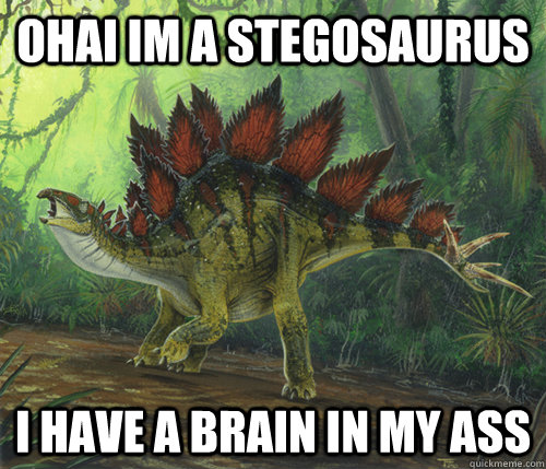 ohai im a stegosaurus i have a brain in my ass - ohai im a stegosaurus i have a brain in my ass  stegosaurus