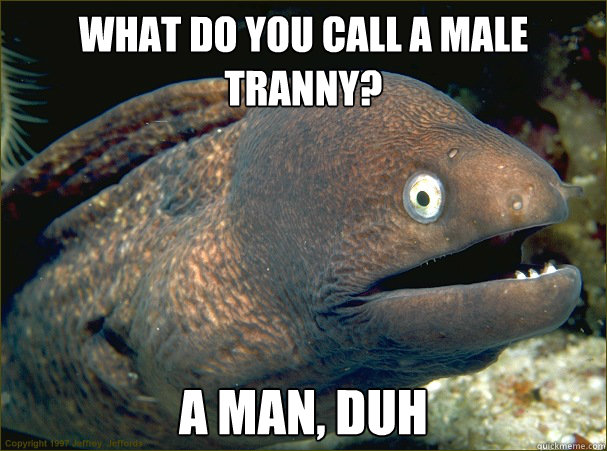 What do you call a male tranny? A Man, duh - What do you call a male tranny? A Man, duh  Bad Joke Eel