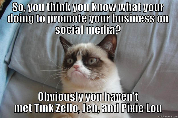 Social Media Meme - SO, YOU THINK YOU KNOW WHAT YOUR DOING TO PROMOTE YOUR BUSINESS ON SOCIAL MEDIA? OBVIOUSLY YOU HAVEN'T MET TINK ZELLO, JEN, AND PIXIE LOU Grumpy Cat