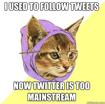 I used to follow tweets now twitter is too mainstream  Hipster Kitty