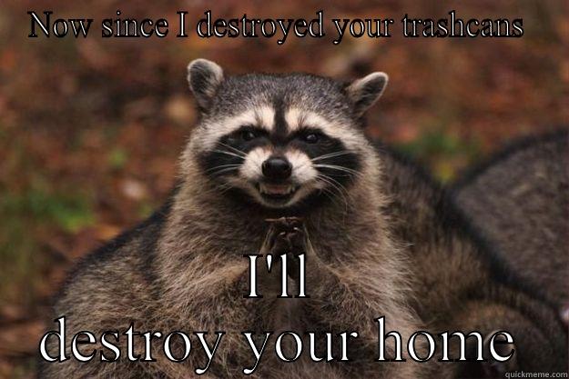 NOW SINCE I DESTROYED YOUR TRASHCANS  I'LL DESTROY YOUR HOME Evil Plotting Raccoon