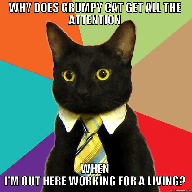 WHY DOES GRUMPY CAT GET ALL THE ATTENTION WHEN I'M OUT HERE WORKING FOR A LIVING? Business Cat