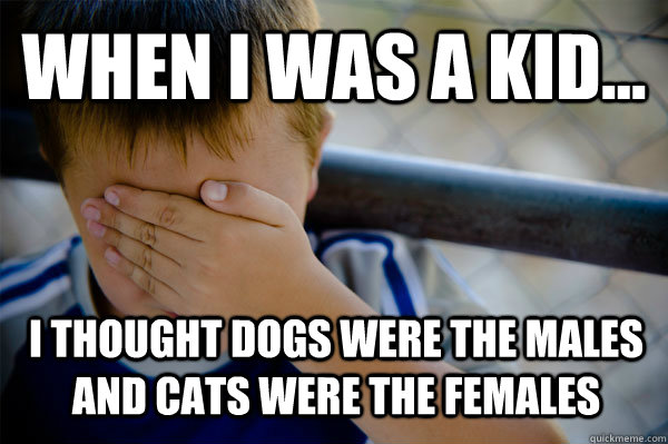 WHEN I WAS A KID... I thought dogs were the males and cats were the females  Confession kid