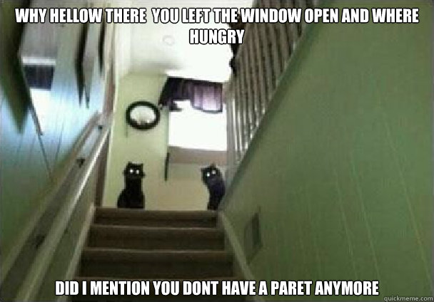 why hellow there  you left the window open and where hungry did i mention you dont have a paret anymore - why hellow there  you left the window open and where hungry did i mention you dont have a paret anymore  creepy cats