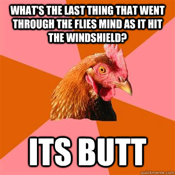 What's the last thing that went through the flies mind as it hit the windshield? Its butt  Anti-Joke Chicken