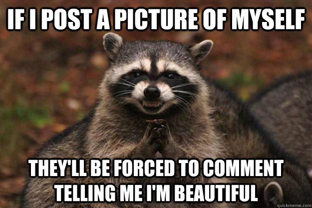 If i post a picture of myself they'll be forced to comment telling me i'm beautiful  Evil Plotting Raccoon