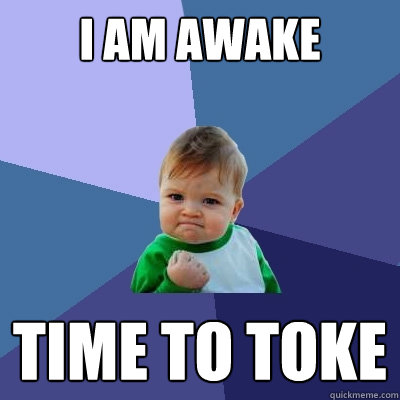 I am awake Time to toke  Success Kid