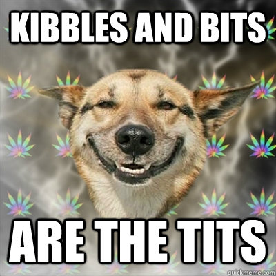 kibbles and bits are the tits  Stoner Dog