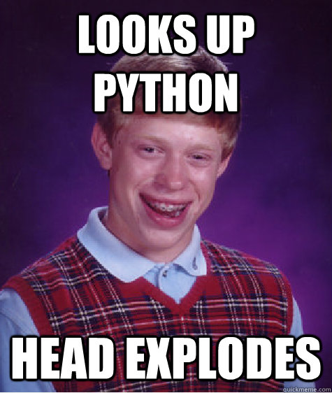 looks up python head explodes  Bad Luck Brian