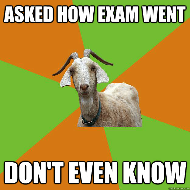 asked how exam went don't even know  IB Goat