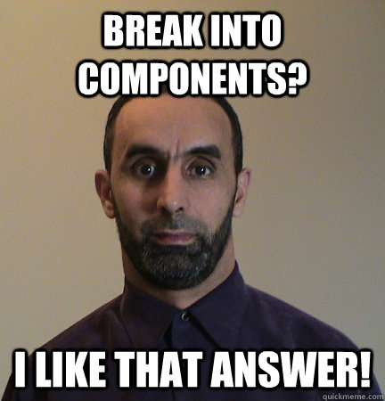 BREAK INTO COMPONENTS? I LIKE THAT ANSWER!  Physics Teacher Solves Everything