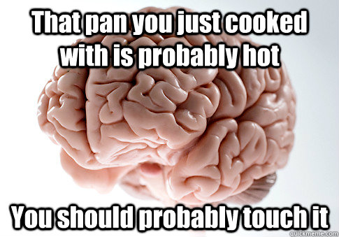 That pan you just cooked with is probably hot You should probably touch it  Scumbag Brain